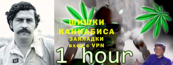 стафф Богданович