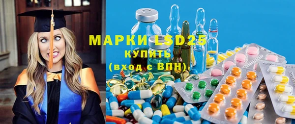 амф Чекалин
