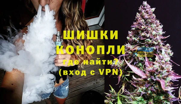 Альфа ПВП Бородино