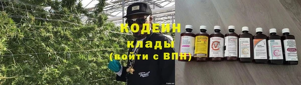 Альфа ПВП Бородино